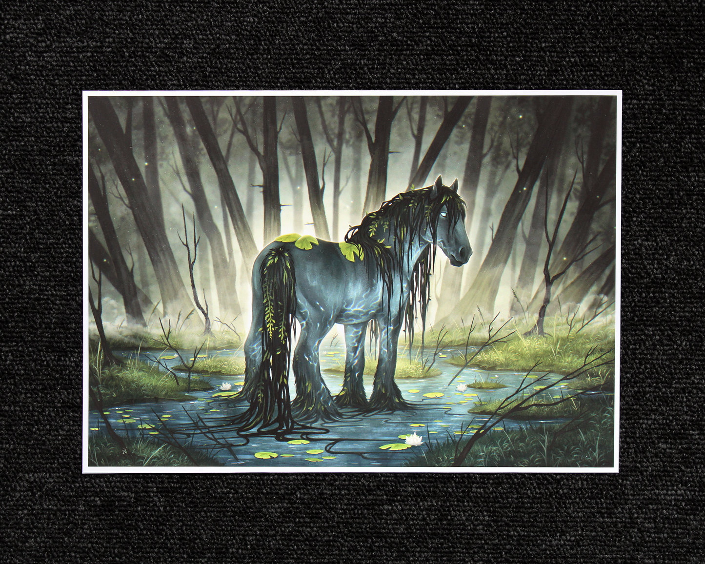 Kelpie - A4 Print