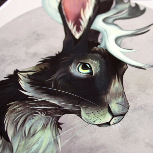 Jackalope - A4  Print